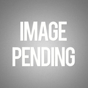 Fanuc AC Axis Servo Motor